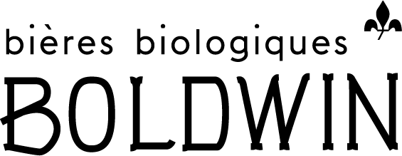 BOLDWIN_LOGO_2022-09-26
