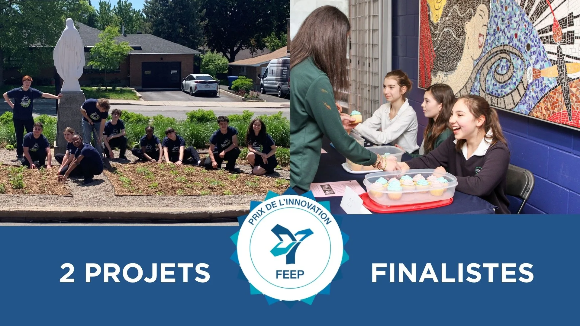 Projets finalistes aux Prix de l’Innovation de la FEEP