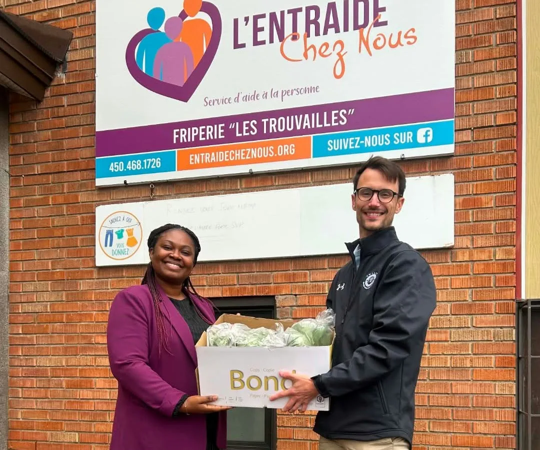 Les paniers de légumes bio, une initiative qui fait du bien sur toute la ligne !